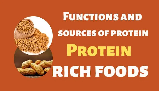 Protein rich foods