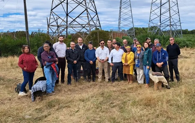 Consejeros Regionales exigen transparencia en proyecto de carretera eléctrica de Transelec en Chiloé