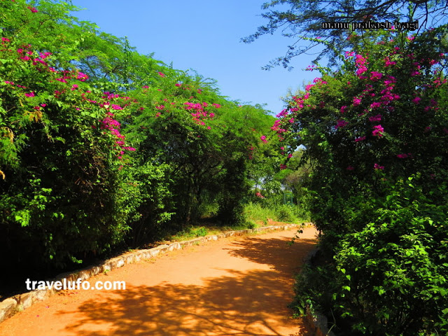 sanjay van delhi