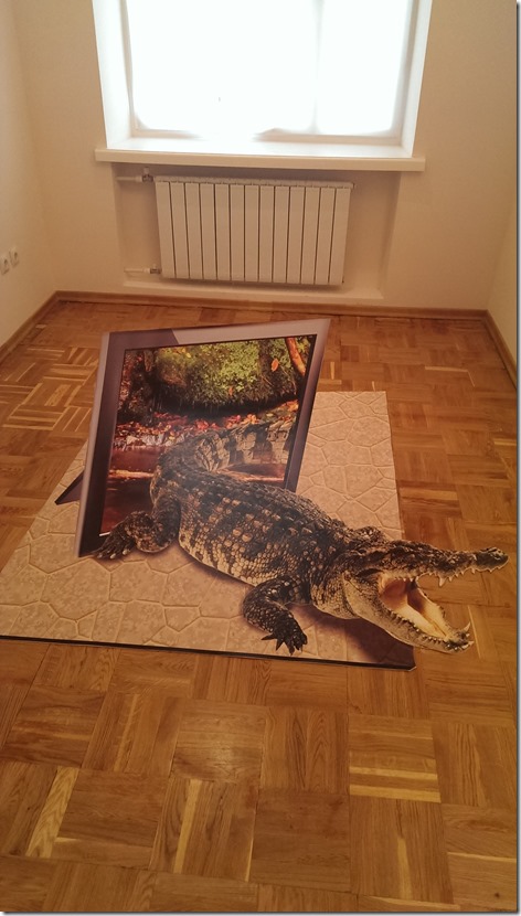 IMAG0113[1]