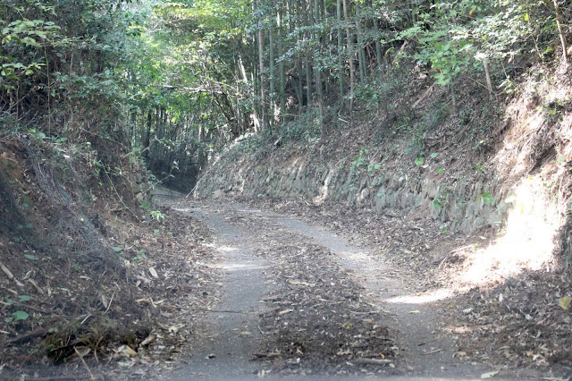 向津具半島の端の端？山口県の最難関スポット、俵島【y】