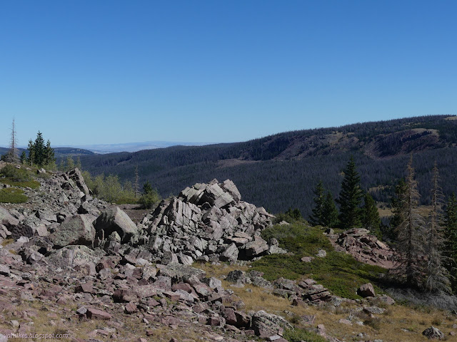 146: treed valley and grey flats