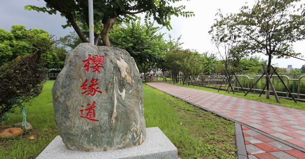 台中太平|2019麗園公園|300公尺櫻緣道賞櫻花|太平賞櫻好去處