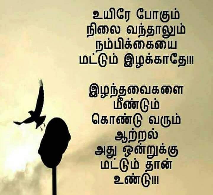 Imagenes De Images Of Motivation Quotes In Tamil