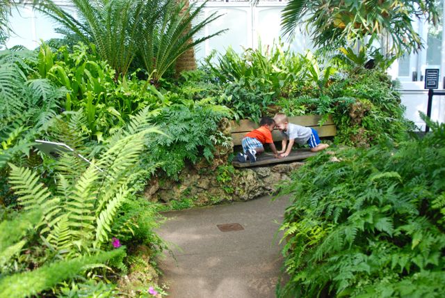 Boys being boys in the Tree Fern Room