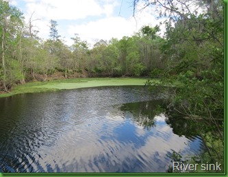 Oleno river sink