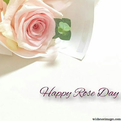 Greetings of Rose Day