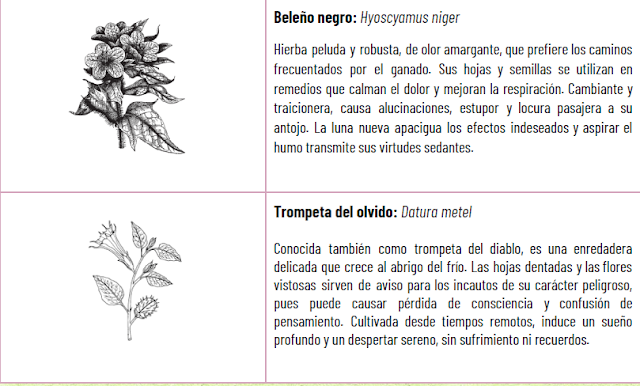 Plantas medicinales del Sendero de estrellas