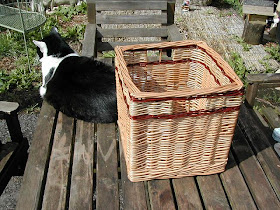 square basket with cat
