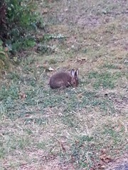 20140710_065015