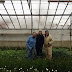 20th Annual Greenhouse Growers' School