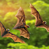 Why are bats important to the environment?