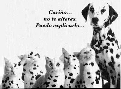 Humor grafico. Perros y gatos