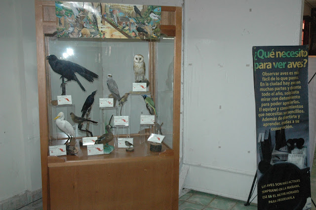 Museo de las Aves de México