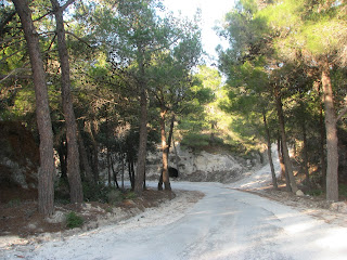 Plaka Wood Antimachia Kos