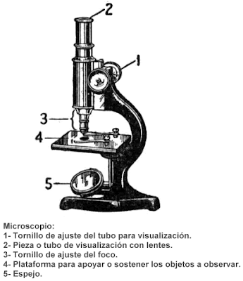 MICROSCOPIO