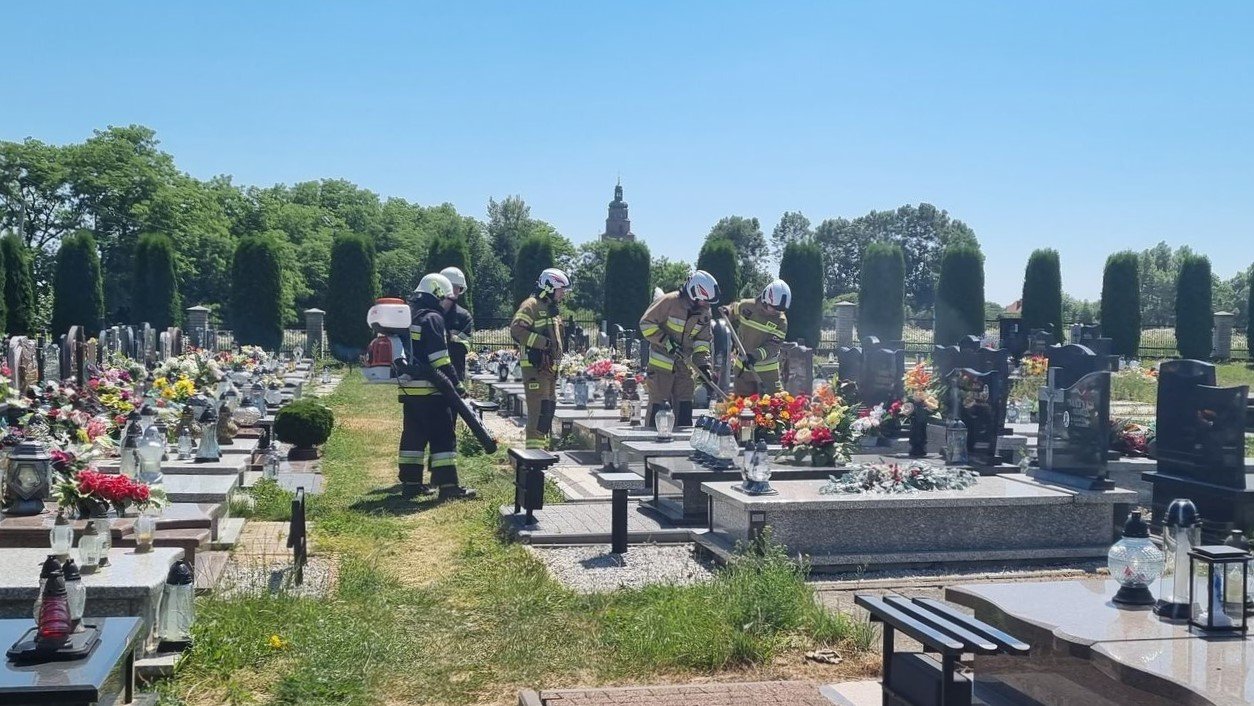 Pożar na... cmentarzu w Książnicach [FOTO]