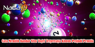 Cara Memilih Bandar Situs Togel Terpercaya Khusus Penjudi Pemula