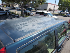 Faded, peeling paint on Volvo V70 Wagon before getting repainted.