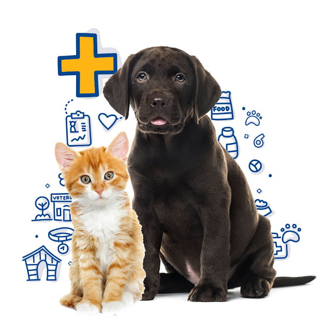 Pet Health is important for each Animal and each Size