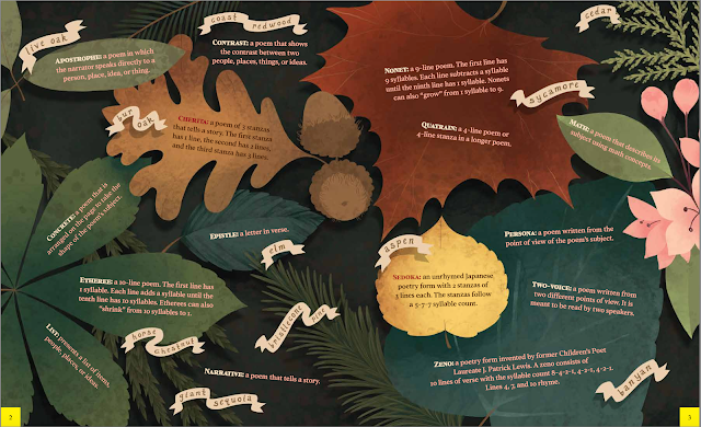 Endpapers for LEAFY LANDMARKS show a collage leaves from various trees with poetry types and definitions scattered about.