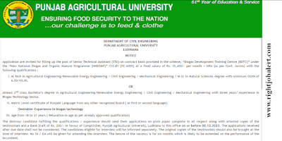 Senior Technical Assistant - Agricultural,Renewable Energy,Civil and Mechanical Engineering Job Recruitment - Punjab Agricultural University