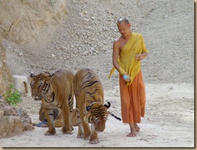 wat_phra_luang_ta_bua-S