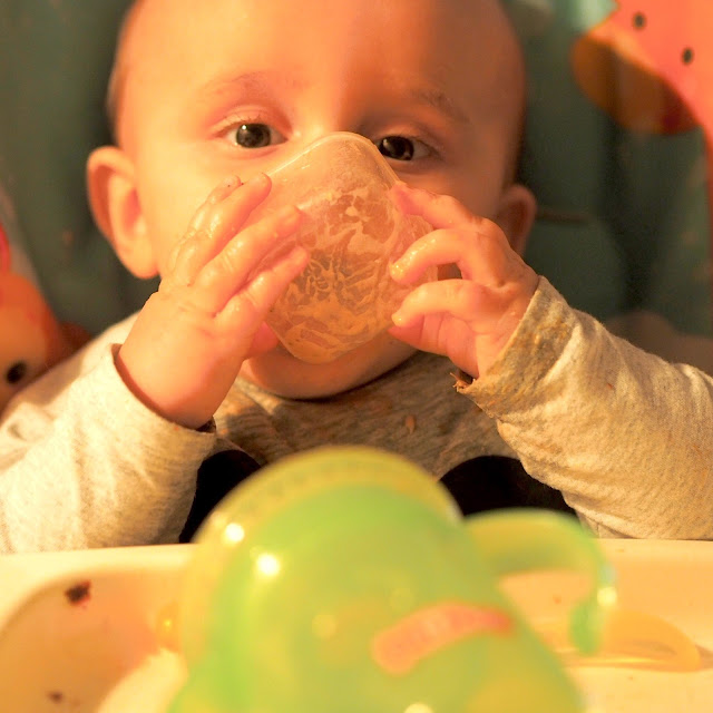 baby led weaning