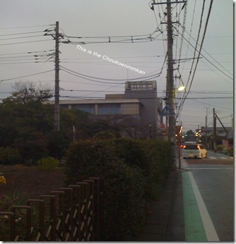 Photo 0245