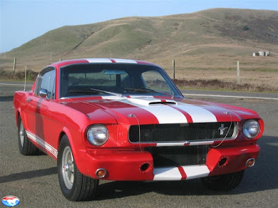 Ford Shelby