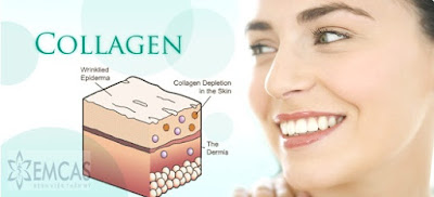 Tác dụng của collagen đối với răng miệng