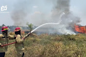 Lahan Kosong di Bojonegoro Terbakar, Diduga Akibat Bakar Sampah