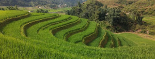 Trekking por Sapa.