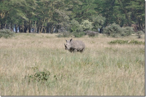 25 Africa 227