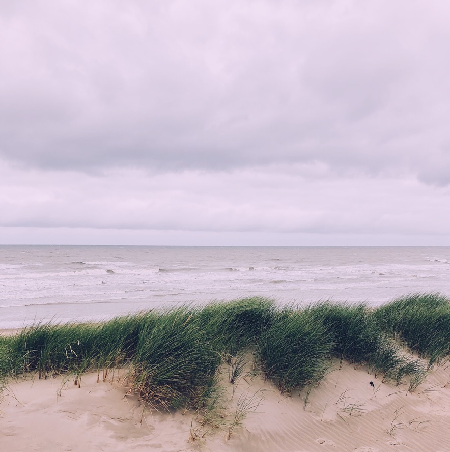 De duinen van Westende met op de achtergrond de zee.