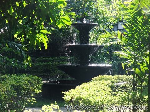 DSCF7341