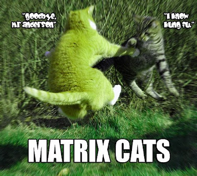 Matrix cats poster