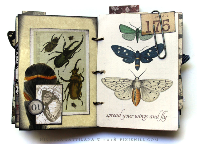 Little Big Fat Nature Journal - Nichola Battilana for AlphaStamps