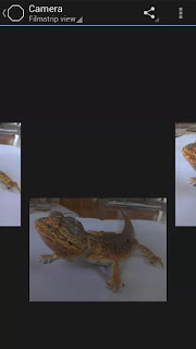 Snap Camera HDR v3.4.0 Beta1 Patched