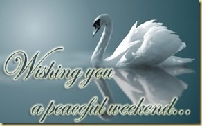 weekend-peaceful-swan