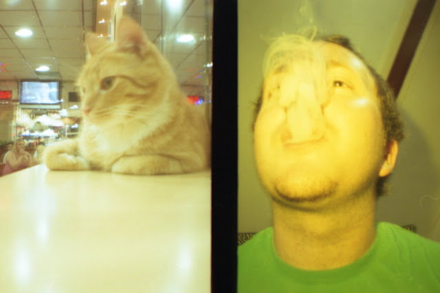 cat, smoke half frame