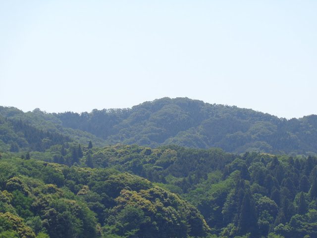 緑水湖の向こうの山の中の遊歩道