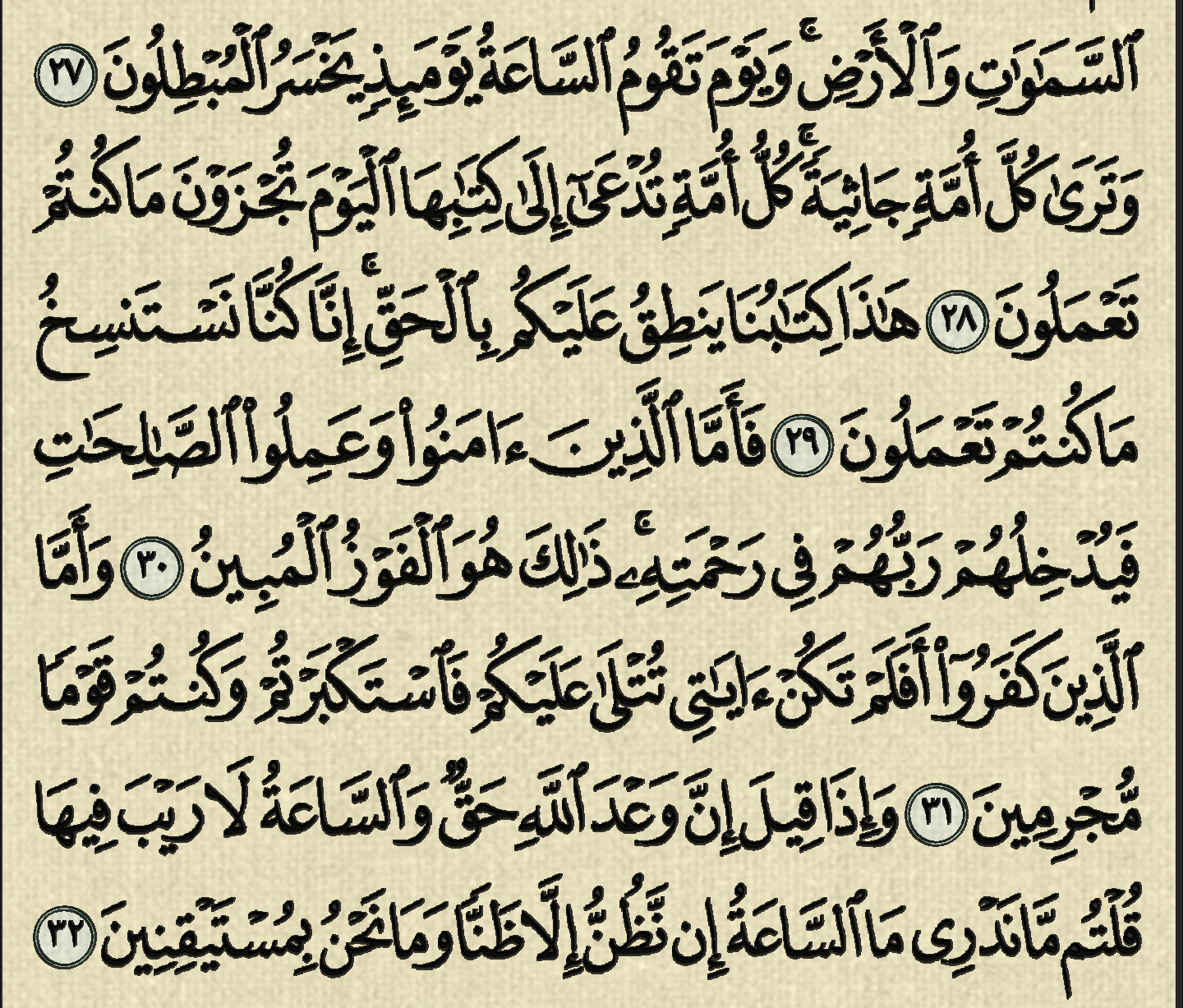 شرح وتفسير, سورة الجاثية, surah Al-Jathiya, من الآية27, إلى الآية 37,surah Az-Zukhruf, surah rahman,quran,surah yaseen,surah yasin,surah,yaseen surah,yasin surah full,yaseen surah full,surah yasin full,surah yaseen ki tilawat, quran,سورة البقرة,سورة يس,سورة الملك,سورة الواقعة,سورة البقرة ماهر المعيقلي,سورة الرحمن,سورة,سورة البقرة السديس,سورة الكهف عبد الباسط,