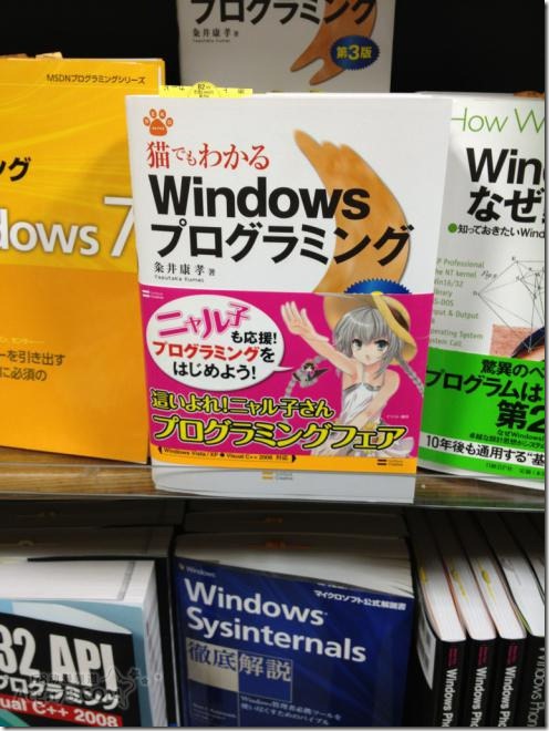 猫咪都会对Windows编程