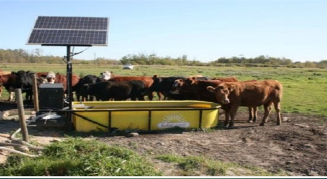 Solar Water Pumping System used for Livestock Watering