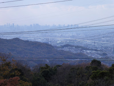 くろんど園地 展望台からの眺望 大阪市内の高層ビル群