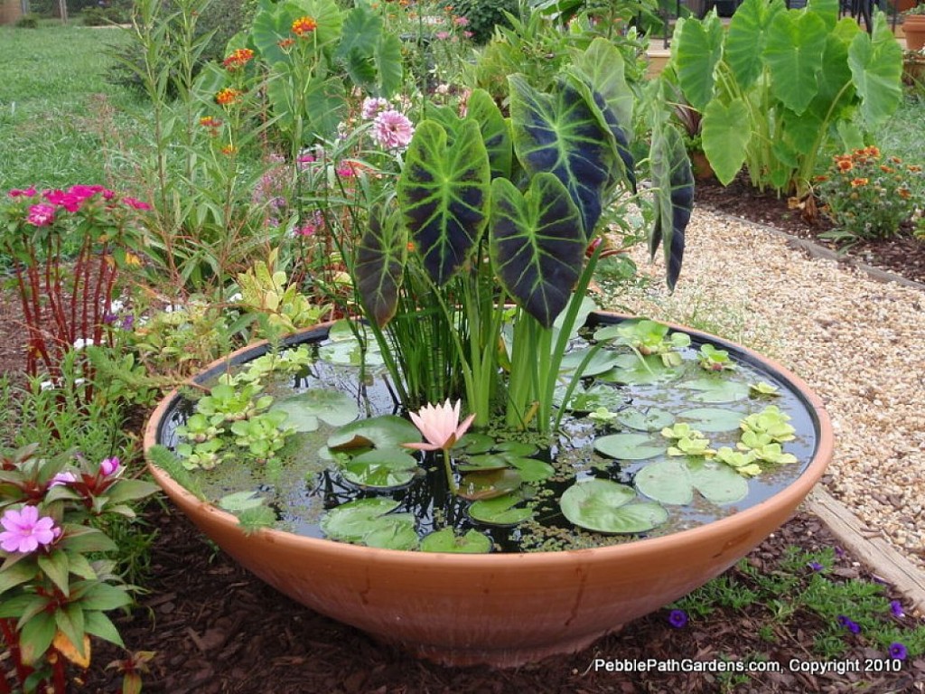 flower planter box ideas Container Water Garden Ideas | 1024 x 768