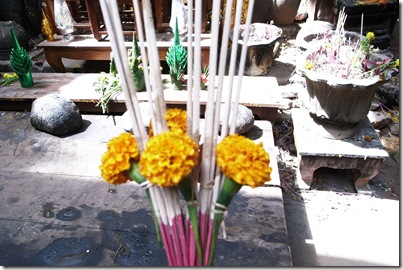 2009-02-10_12-05-40