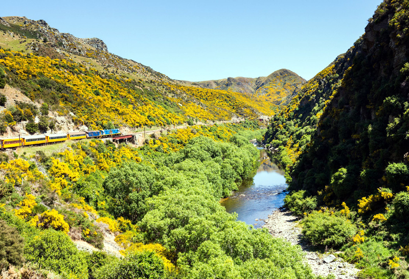 The 5 Best Train Journeys in New Zealand