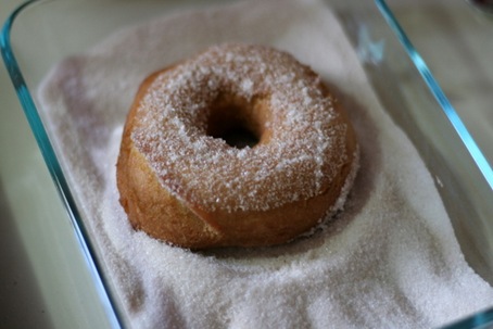 apple cider donuts 5